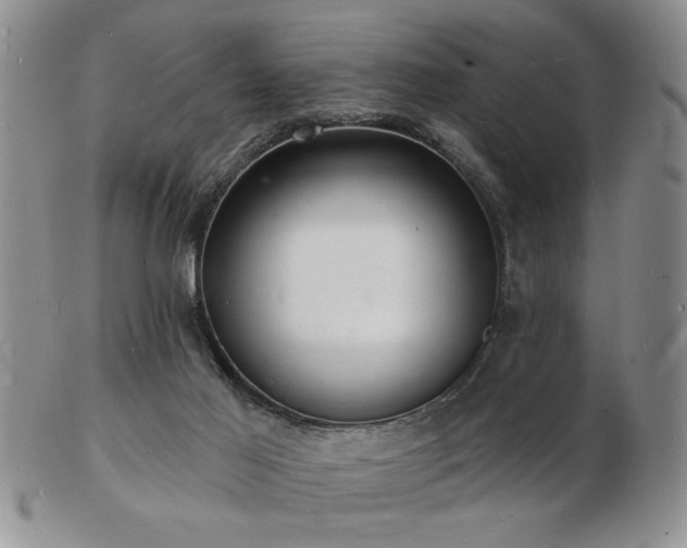 X0000103240021200808281451