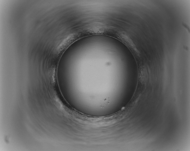 X0000103240023200808281451