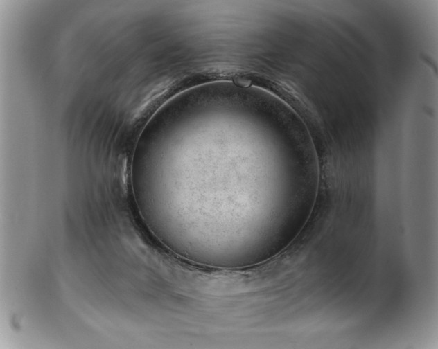 X0000103240024200808281451