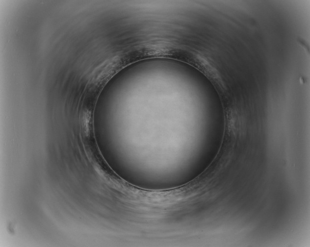 X0000103240026200808281451
