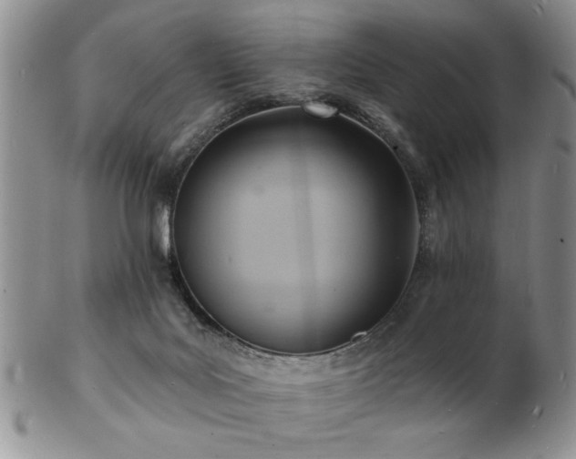 X0000103240027200808281451