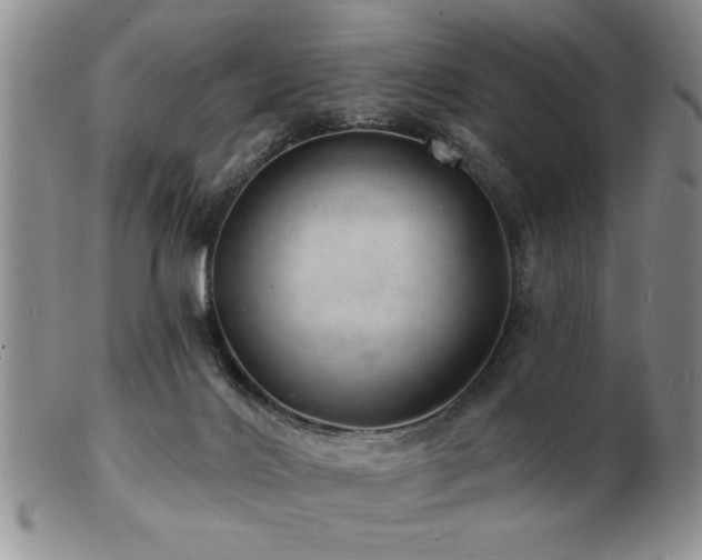 X0000103240028200808281451