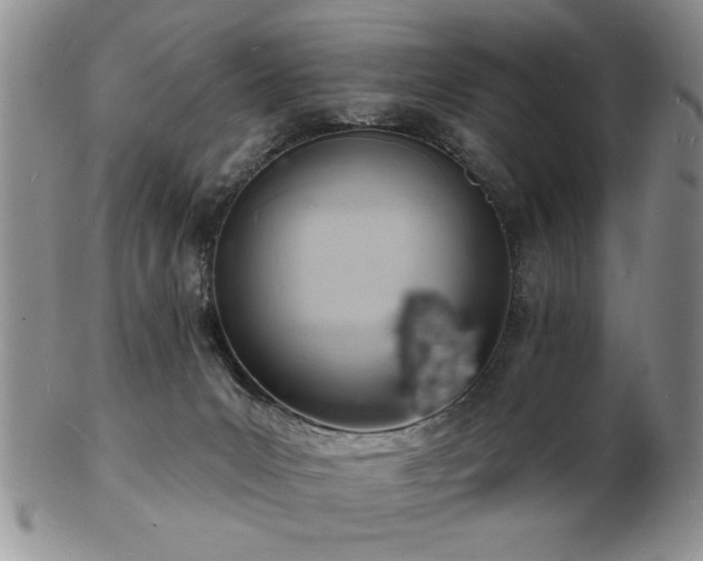 X0000103240031200808281451