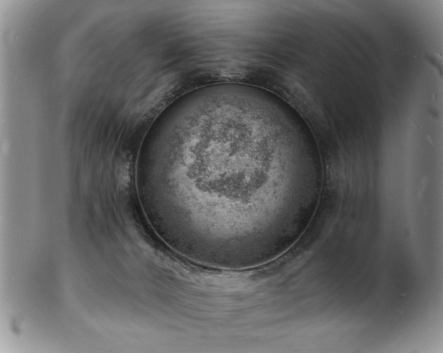 X0000103240032200808281451