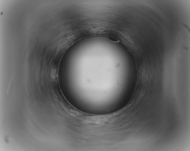 X0000103240033200808281451