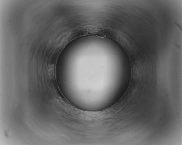 X0000103240034200808281451