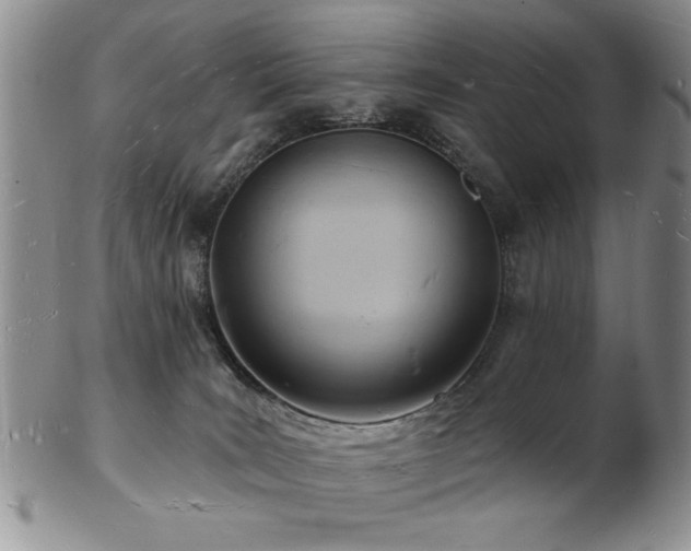 X0000103240035200808281451