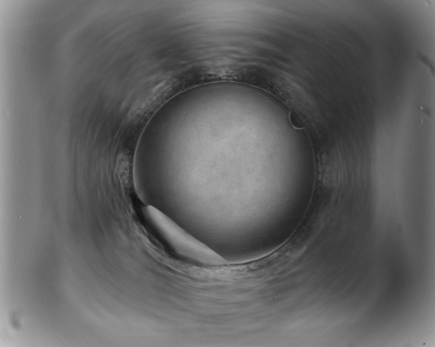 X0000103240036200808281451