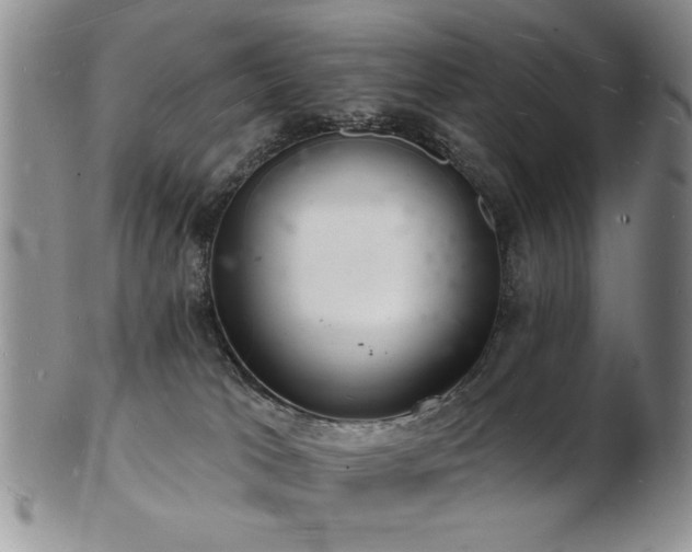 X0000103240037200808281451