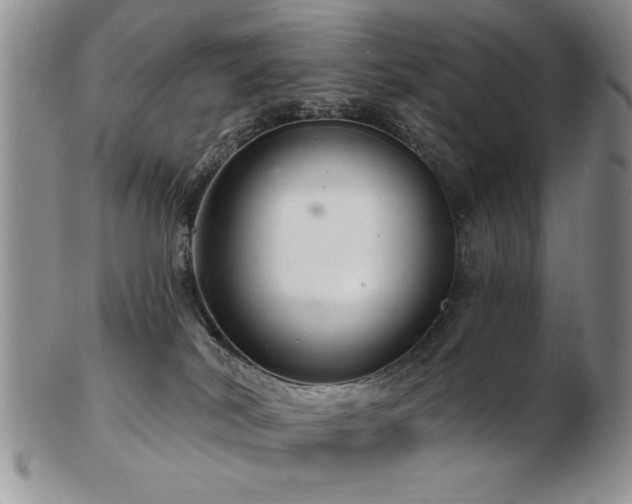 X0000103240038200808281451