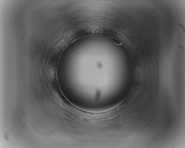 X0000103240039200808281451