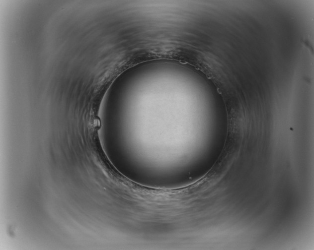 X0000103240040200808281451