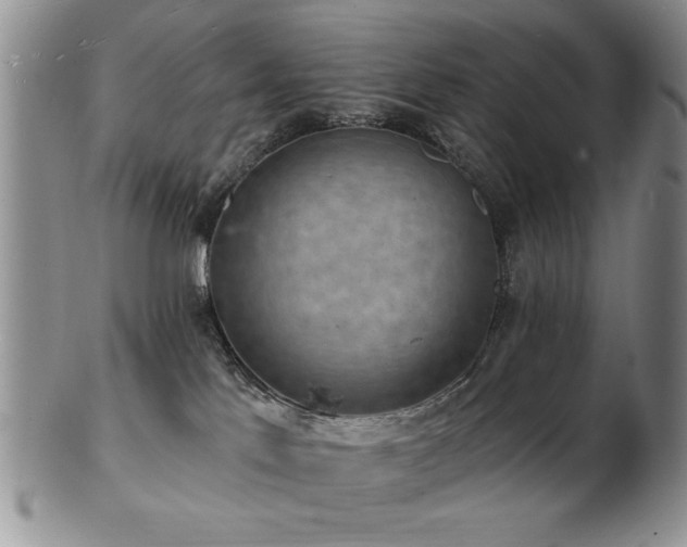 X0000103240041200808281451