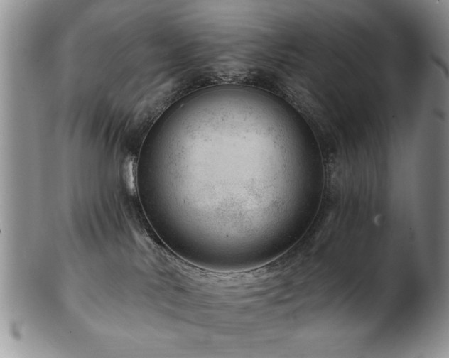 X0000103240042200808281451
