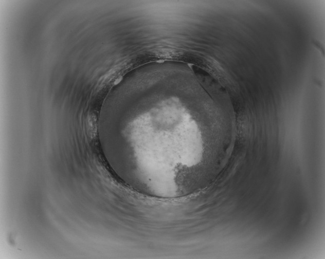 X0000103240043200808281451