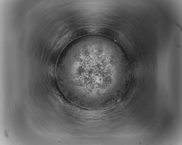 X0000103240044200808281451