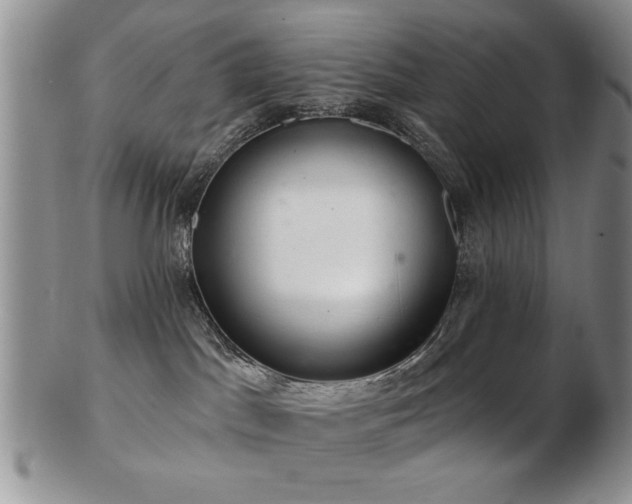 X0000103240045200808281451