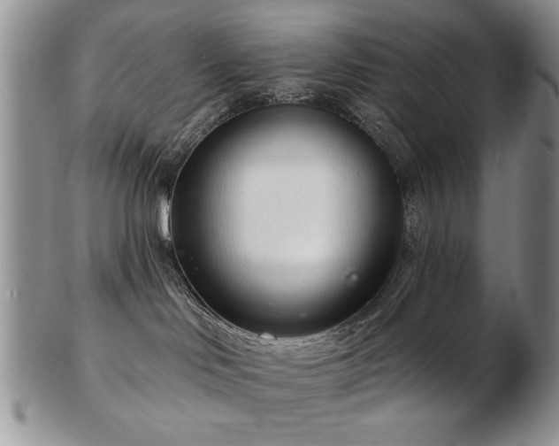 X0000103240046200808281451