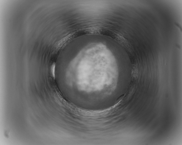 X0000103240047200808281451