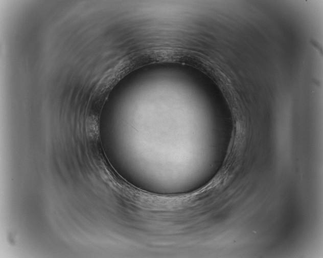 X0000103240048200808281451