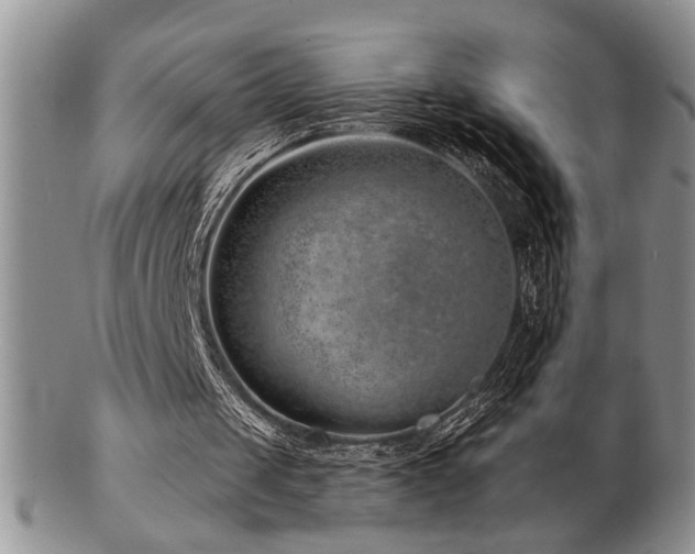 X0000103240049200808281450