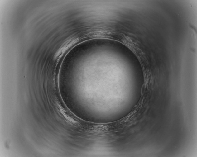 X0000103240050200808281450