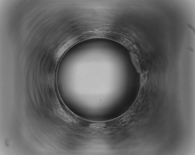 X0000103240051200808281450