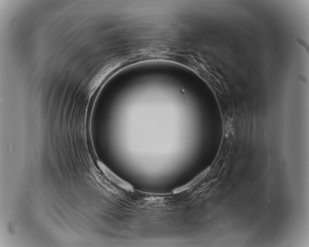 X0000103240052200808281450