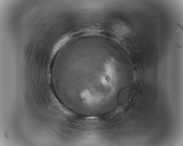 X0000103240053200808281450
