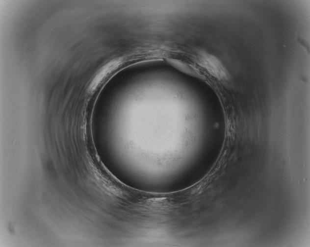 X0000103240054200808281450