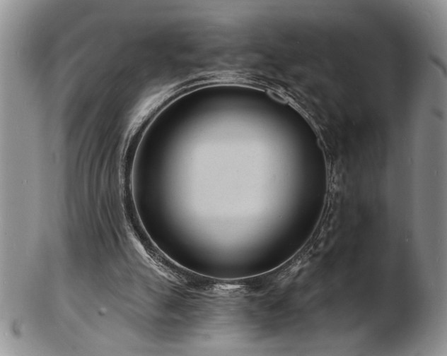 X0000103240055200808281450