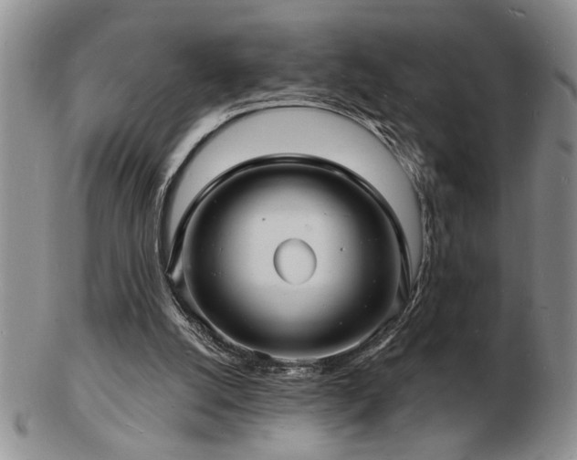 X0000103240056200808281450