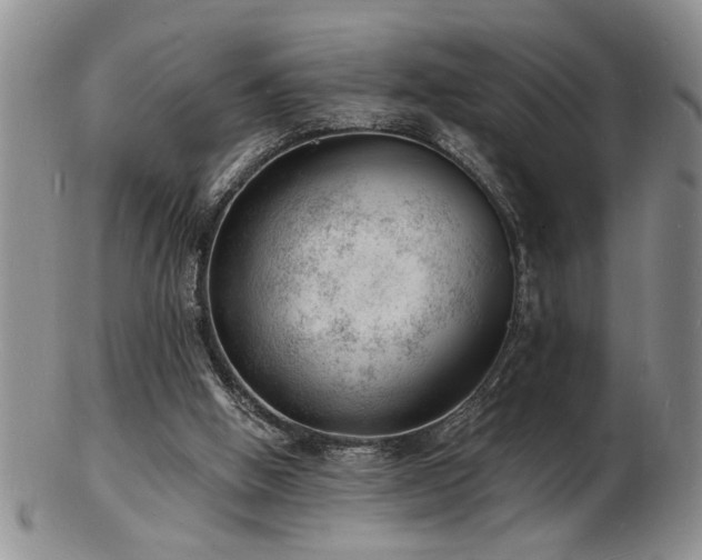 X0000103240058200808281450