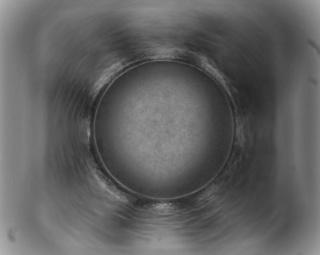 X0000103240059200808281450