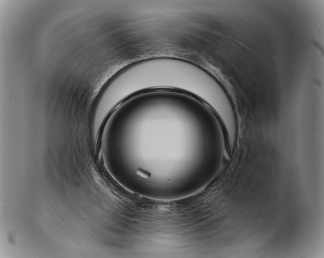 X0000103240060200808281450