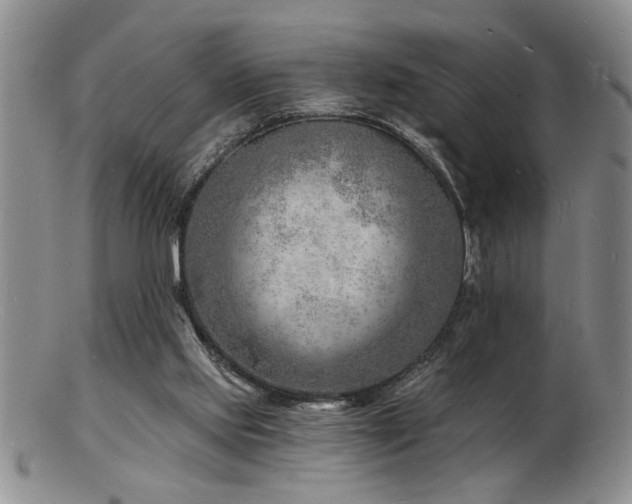 X0000103240061200808281450