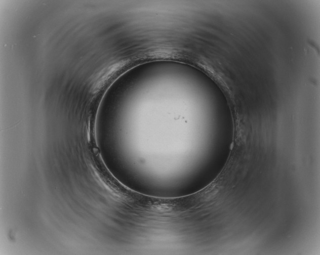 X0000103240062200808281450