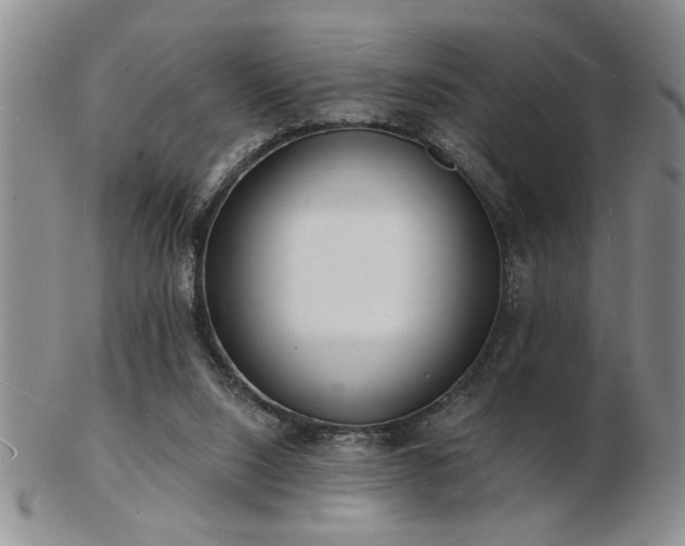 X0000103240064200808281450