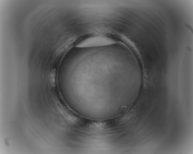 X0000103240065200808281450