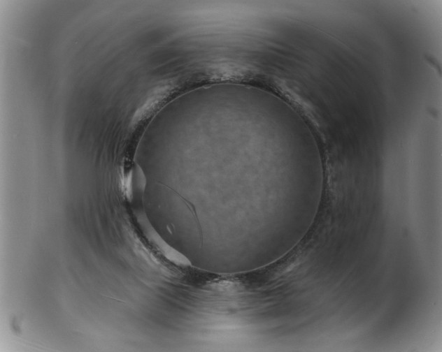 X0000103240067200808281450