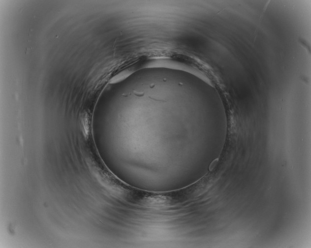 X0000103240069200808281450