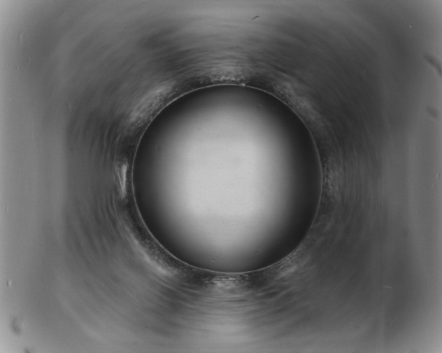 X0000103240070200808281450