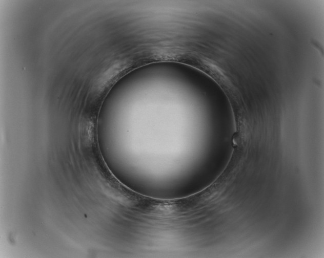 X0000103240071200808281450