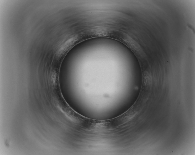 X0000103240072200808281450