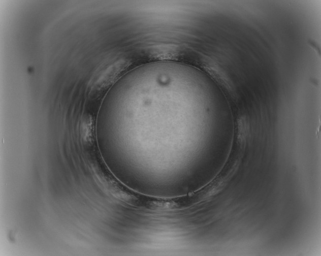 X0000103240073200808281450
