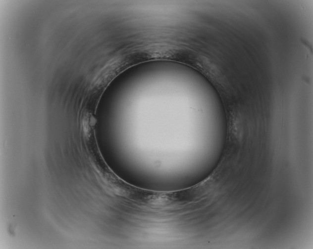 X0000103240074200808281450