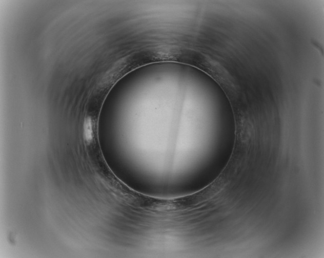 X0000103240075200808281450