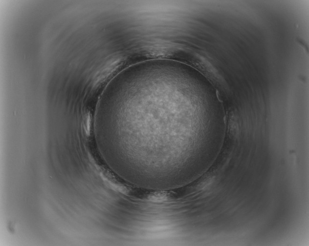 X0000103240076200808281450