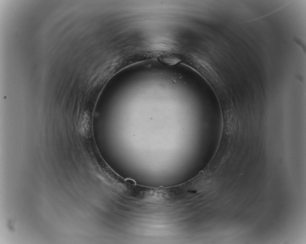 X0000103240077200808281450