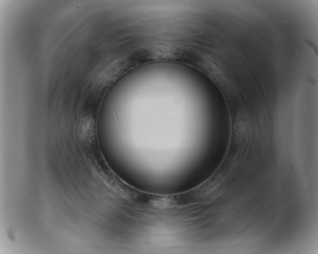 X0000103240079200808281450